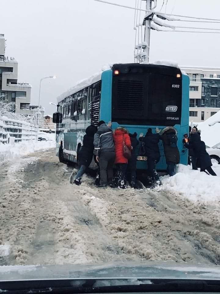 Deszapezire Bucureti (5)