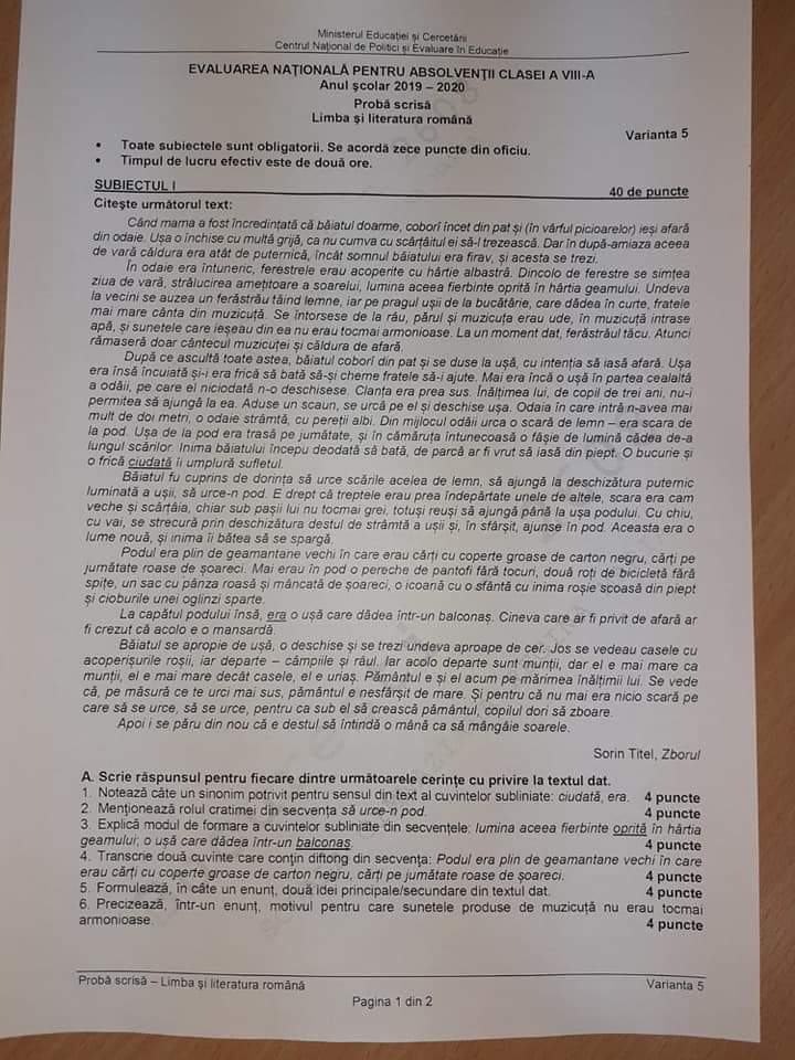 Subiecte Limba şi literatura română la Evaluarea Naţională. Edu.ro a anunţat ce au avut elevii la examen